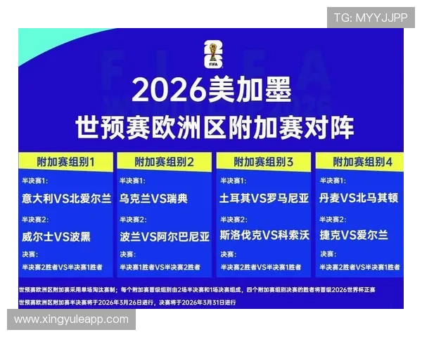 2026年世界杯捷克对阵南非比赛门票价格详细分析与购买指南